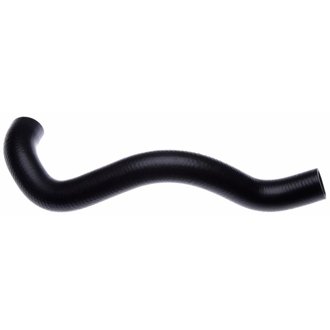 01-05 Lexus IS300 6-Cyl. 3.0L Lower Molded Coolant Hose