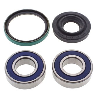 Snowmobile Chain Case Bearing & Seal Kit