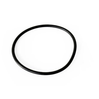 Oil Filter Block Adapter O-Ring (Large
