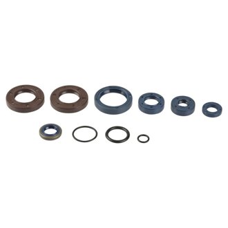 93-96 Beta RK 6 50 Engine Oil Seal Kit