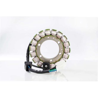 Ricks Motorsport New Hot Shot Series Suzuki Stator