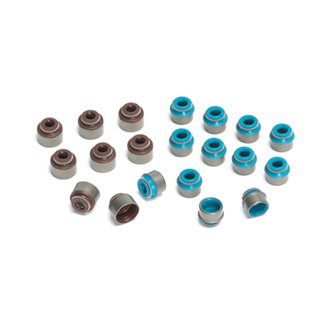VW/Audi 2.5T FSI Valve Stem Seal - Set of 10