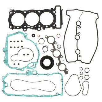 Complete Gasket Kit Withoil Seals