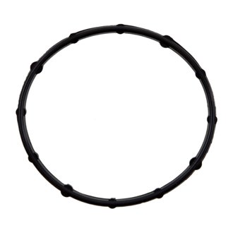 Engine Coolant Thermostat Housing Seal