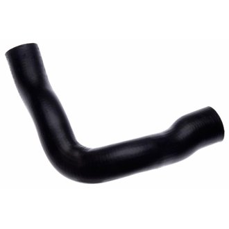 80-94 Ford F Series 6-Cyl. 4.9L Lower Molded Coolant Hose