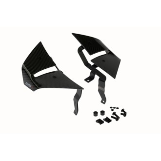 Spoilers D12 Carbon look