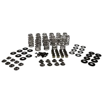Valve Spring Kit, Beehive, .62 5 Lift, Lt4, Tool Steel Retain Er
