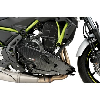 Engine Spoiler Carbon Look