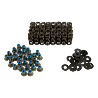 Valve Spring Kit, Ford Power S Troke 6.0/6.4