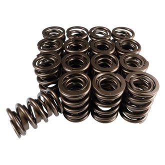 Dual Springs w/ Damper 1.519 OD 1.900 IH .800 Lift