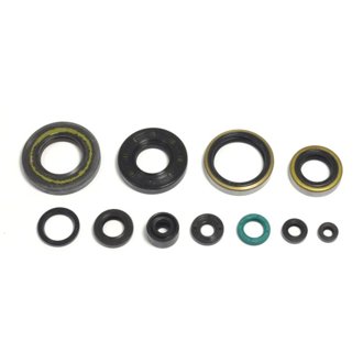 95-04 Kawasaki KX 250 Engine Oil Seal Kit