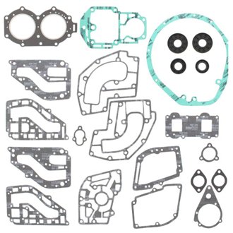 Complete Gasket Kit Withoil Seals