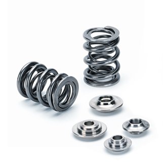Audi 2.5T FSI/TFSI/EA113/EA888 Single Valve Spring Kit
