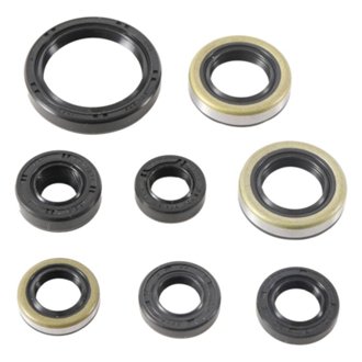 Engine Oil Seal Kit