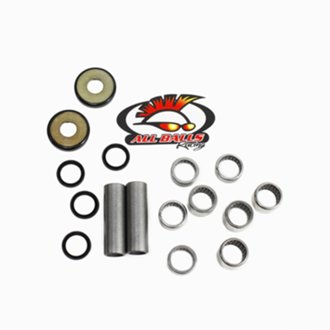 Swing Arm Bearing Kit