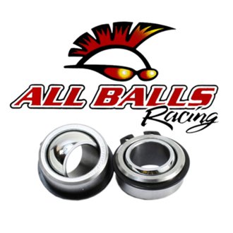 Swing Arm Bearing Kit