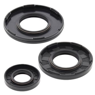 Engine Oil Seal Kit
