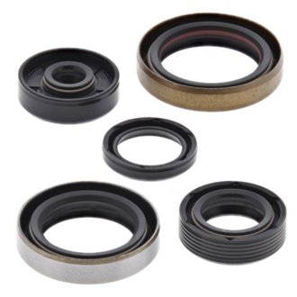 Engine Oil Seal Kit