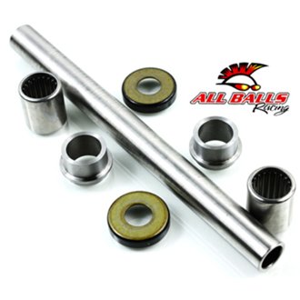 Swing Arm Bearing Kit