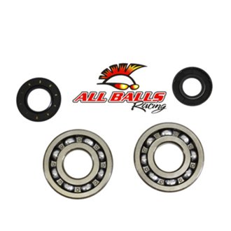 Allballs Crank Bearing And Seal Kit