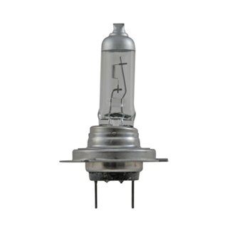 Multi-Purpose Light Bulb