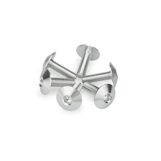 Screw Kit Anodized For Screens Silver