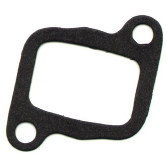 Intake Gasket