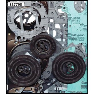 Complete Gasket Kit Withoil Seals
