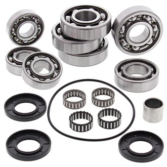 Differential Bearing And Seal Kit