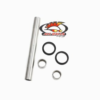 Swing Arm Bearing Kit