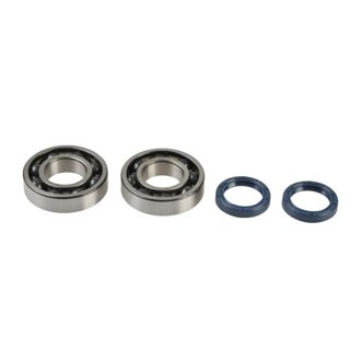 04-16 Kawasaki KX 250 F Main Bearing & Seal Kit