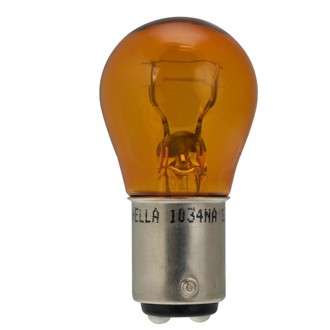 Multi-Purpose Light Bulb