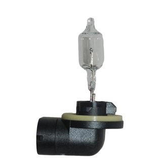 Multi-Purpose Light Bulb