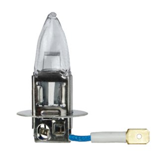 Fog Light Bulb