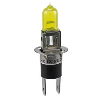 Multi-Purpose Light Bulb