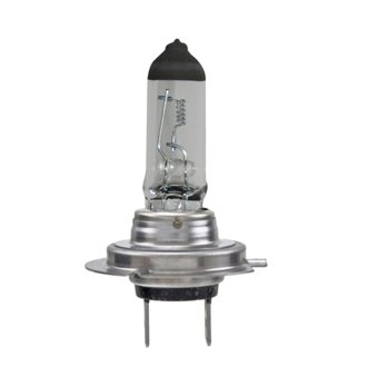Multi-Purpose Light Bulb