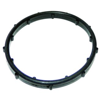 Thermostat Seal