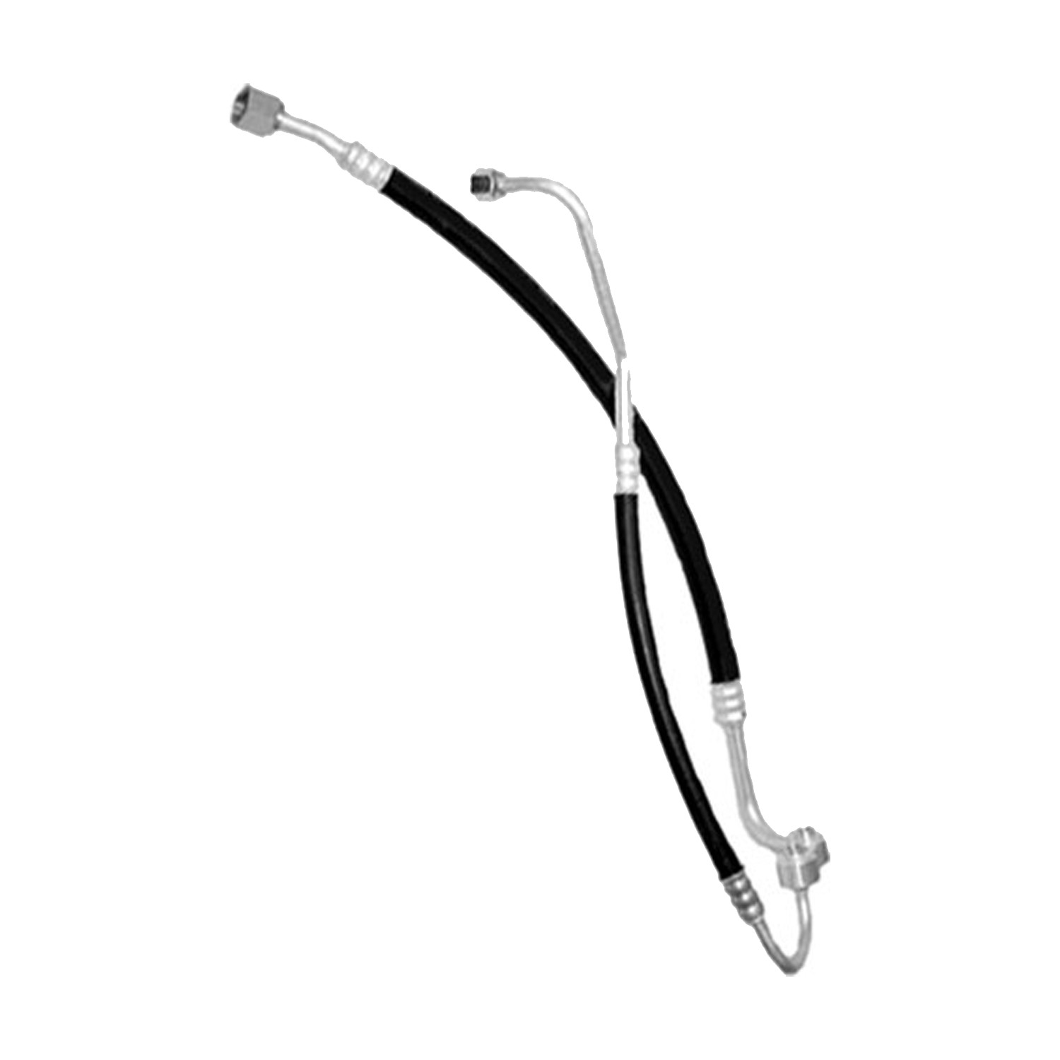 Photo - Primary