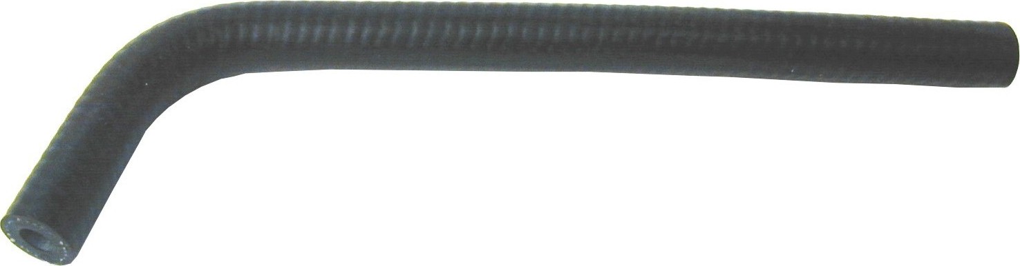 Photo - Primary
