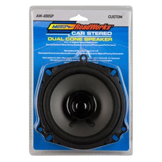 Speaker