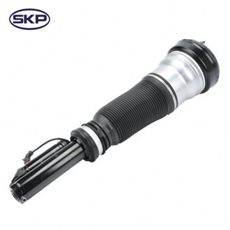 Suspension Strut Assembly