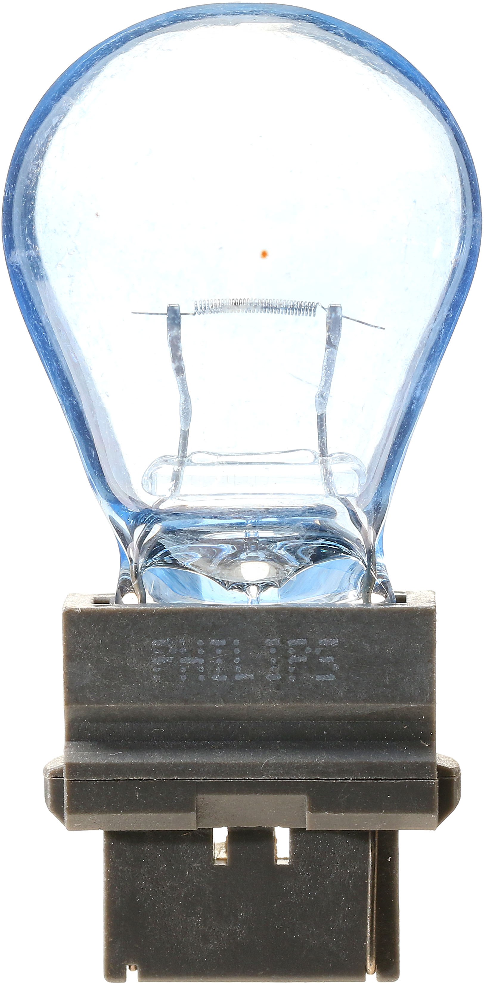 Photo - Primary