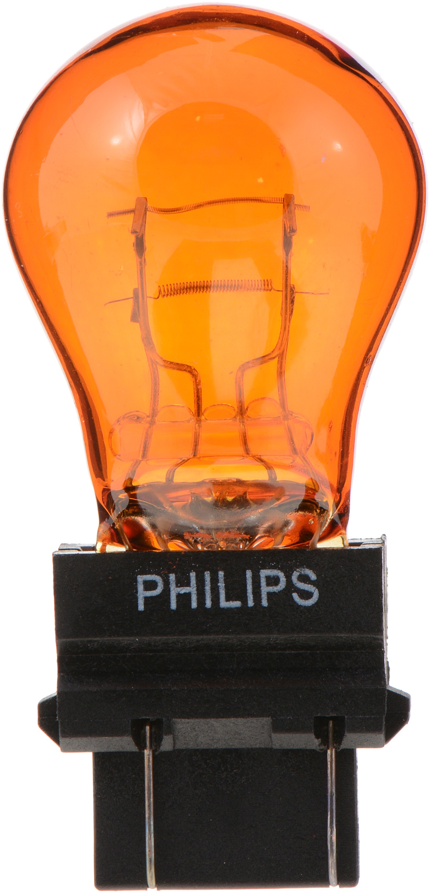 Photo - Primary