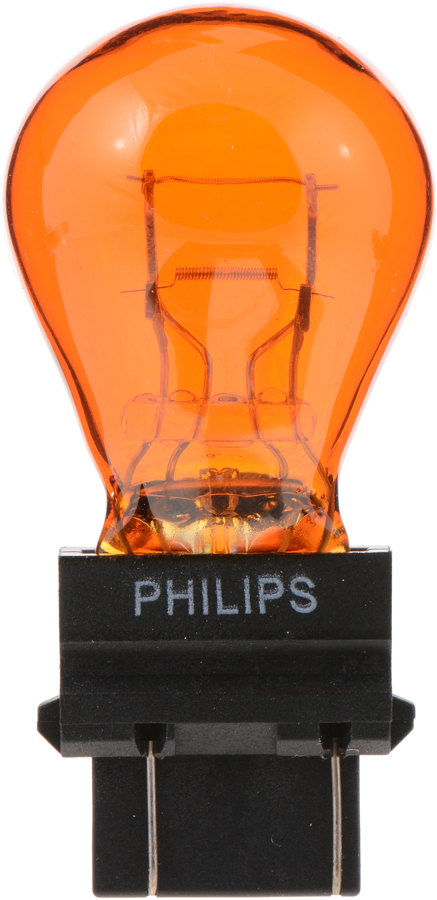 Photo - Primary