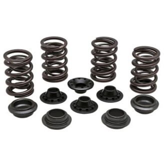 Kpmi Spring Kit Lightweight Racing .460" Lift