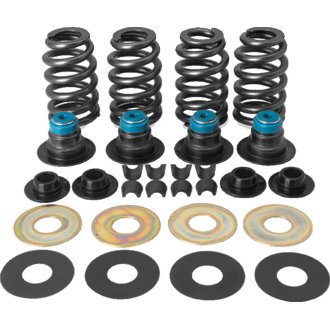 05-17 BT Street Performance .585in Valve Spring Kit