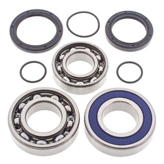 Snowmobile Jack Shaft Bearing & Seal Kit