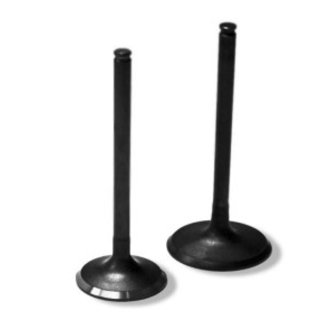 Exhaust Valve