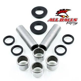 Swing Arm Bearing Kit
