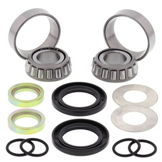 Swing Arm Bearing Kit